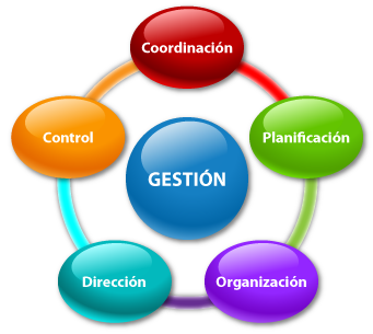 ciclo de gestion dentro de una empresa, software personalizable a su empresa